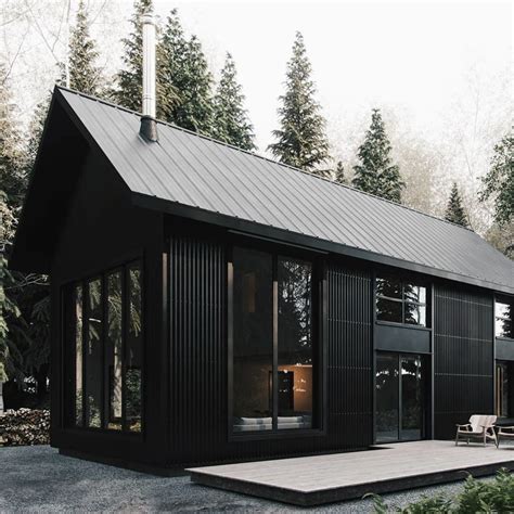 modern black metal house|black siding on a house.